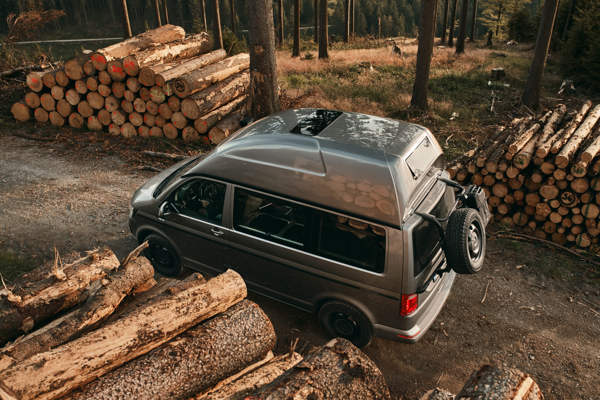 Reisemobil mit Schlafdach im Wald